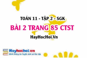 Bài 2 trang 85 Toán 11 tập 2 Chân trời sáng tạo